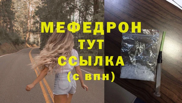 мдпв Богородицк