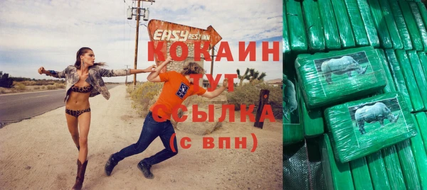 мдпв Богородицк