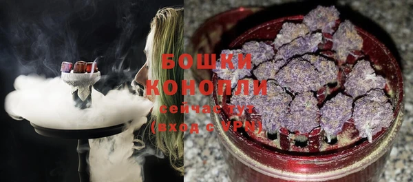 мдпв Богородицк
