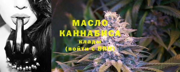 мдпв Богородицк