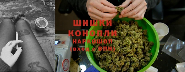 мдпв Богородицк