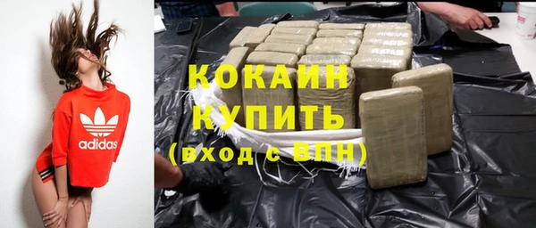 мдпв Богородицк