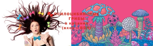 мдпв Богородицк