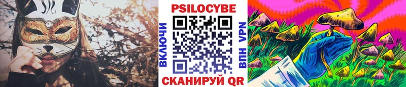 Купить закладки  Кулебаки  Галлюциногенные грибы MAGIC MUSHROOMS 